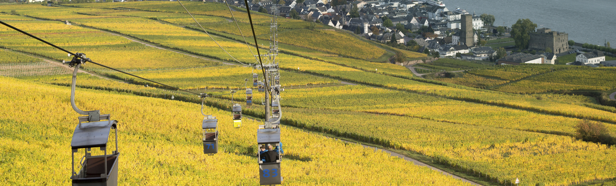 Seilbahn ueber den Weinbergen von Ruedesheim, Deutschland