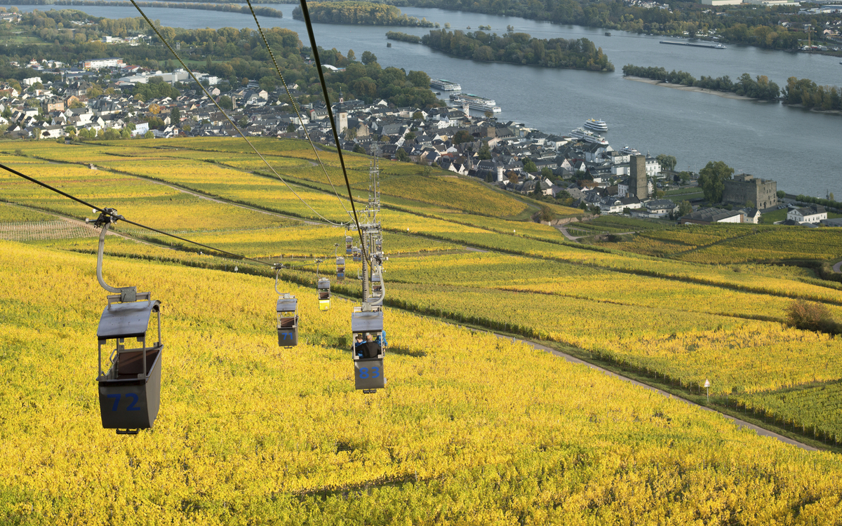 Seilbahn ueber den Weinbergen von Ruedesheim, Deutschland