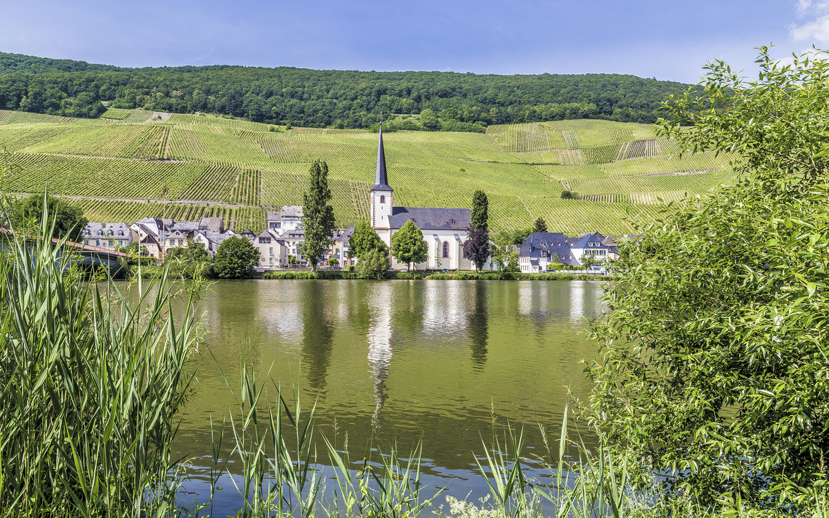 Piesport an der Mosel, Deutschland
