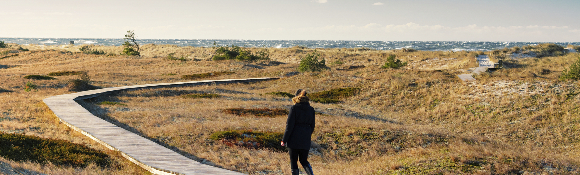 Dünen an der Küste von Zingst, Deutschland