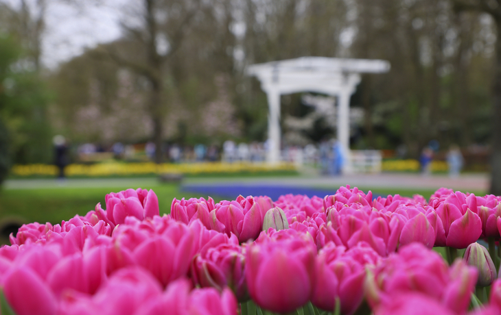 Keukenhof Impressionen