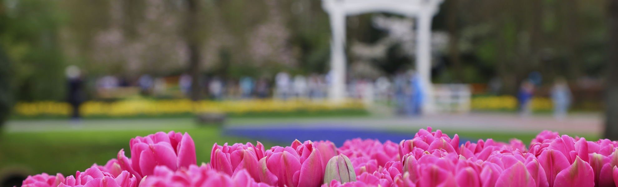 Keukenhof Impressionen