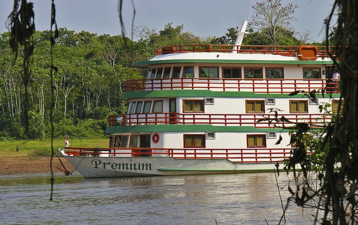 MS Amazon Clipper Premium