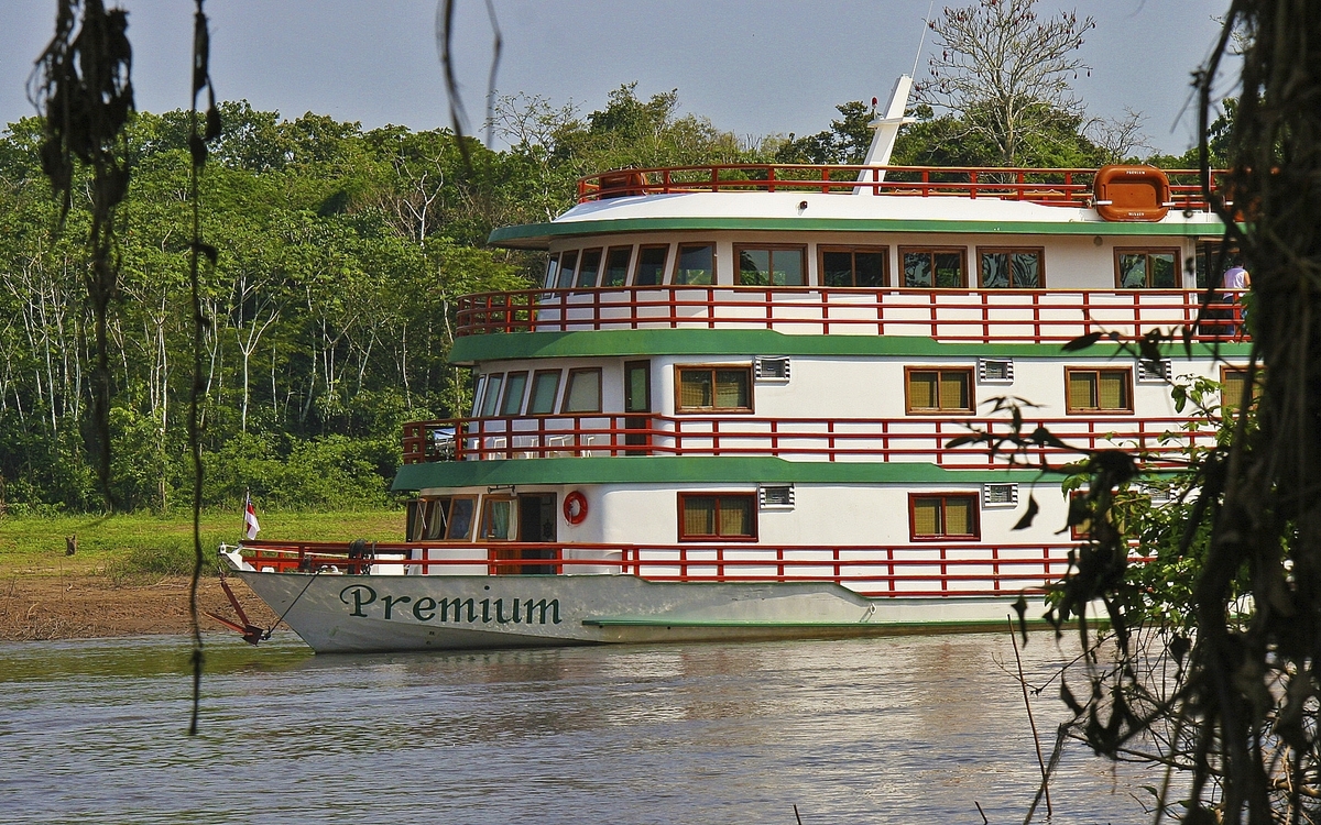 MS Amazon Clipper Premium