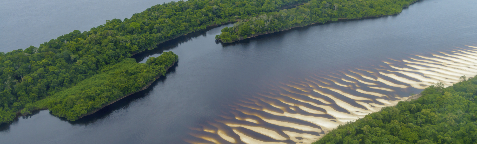 Anavilhanas Nationalpark, Brasilien