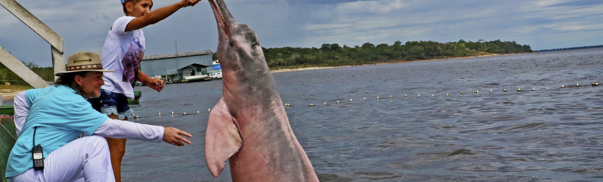 Phoenix Reiseleiter neben einem Amazonasdelfin