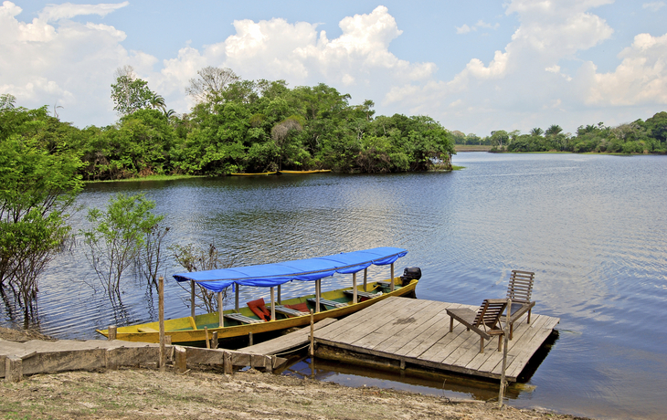 Rio Negro Ufer, Brasilien