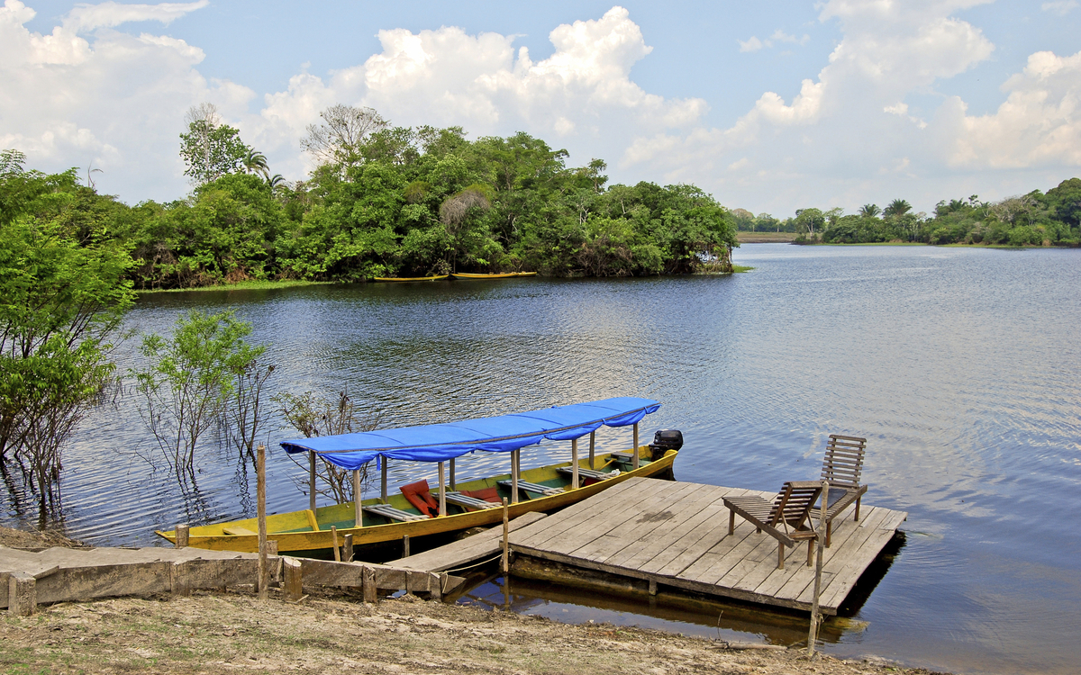 Rio Negro Ufer, Brasilien