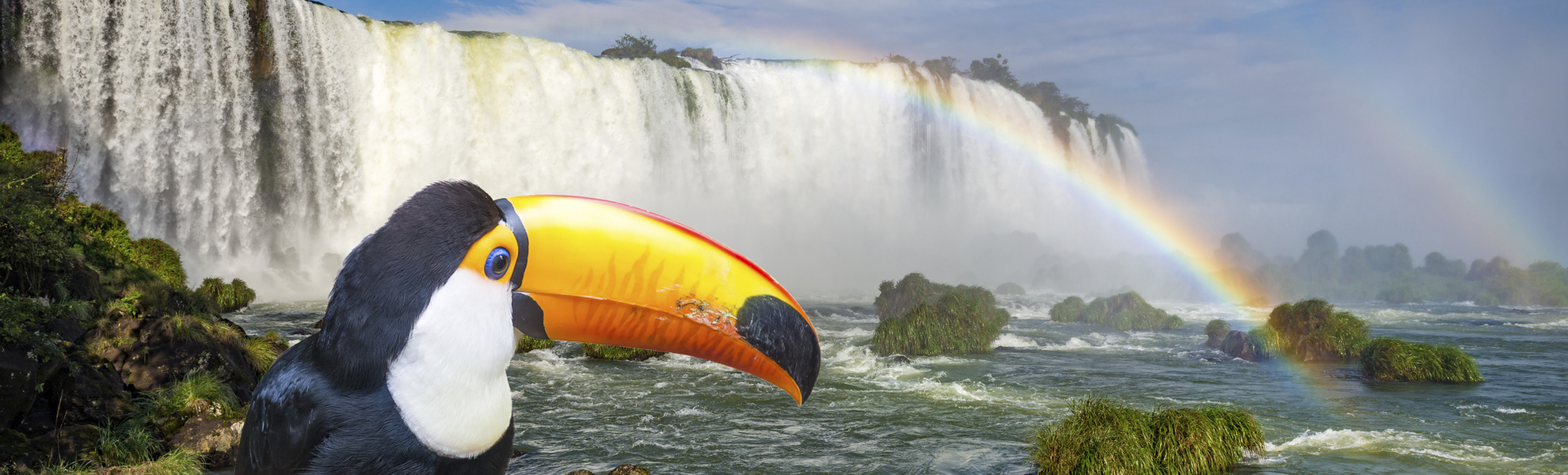 Tucan vor den Wasserfällen in Iguassu, Brasilien