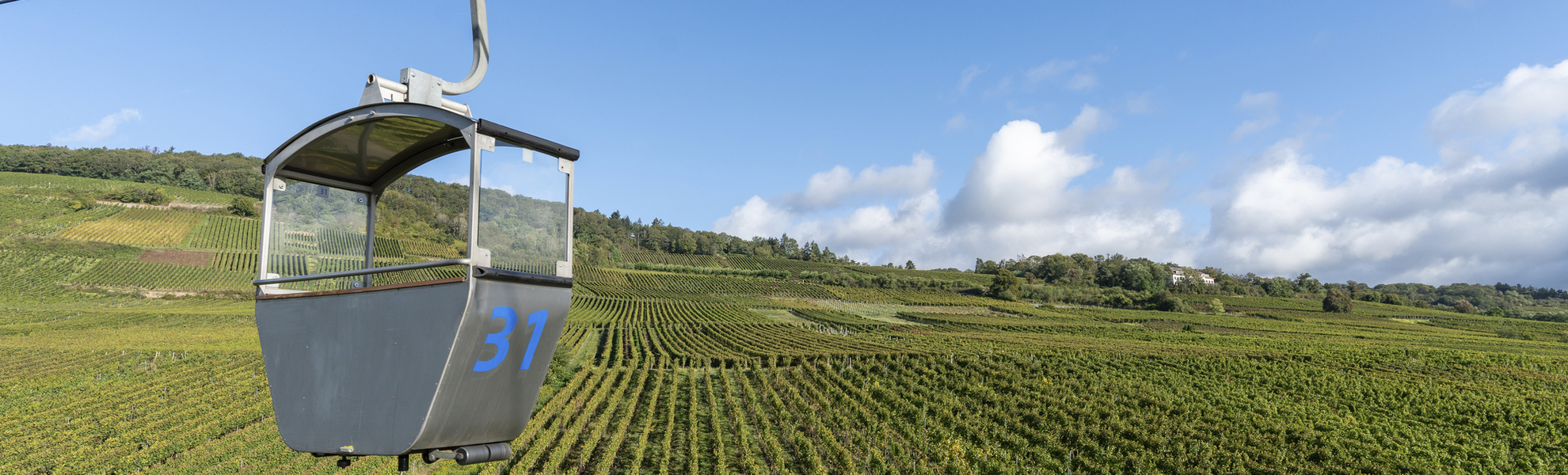 Rüdesheim, Seilbahn