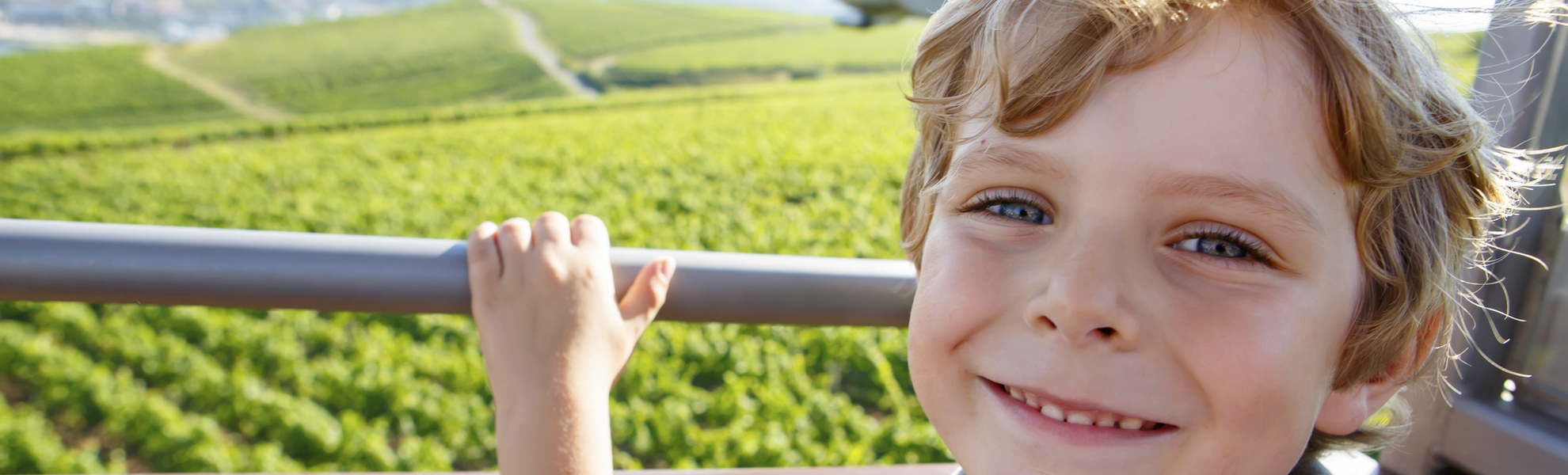 Seilbahn ueber den Weinbergen von Ruedesheim, Deutschland