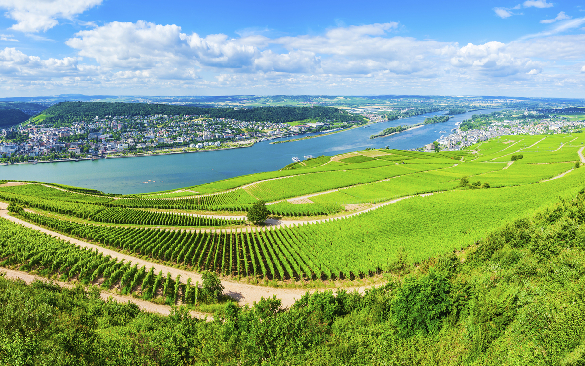 Bingen am Rhein