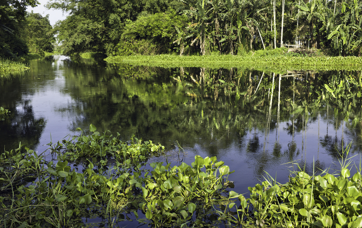 Fluss Majuli in Assam, Indien