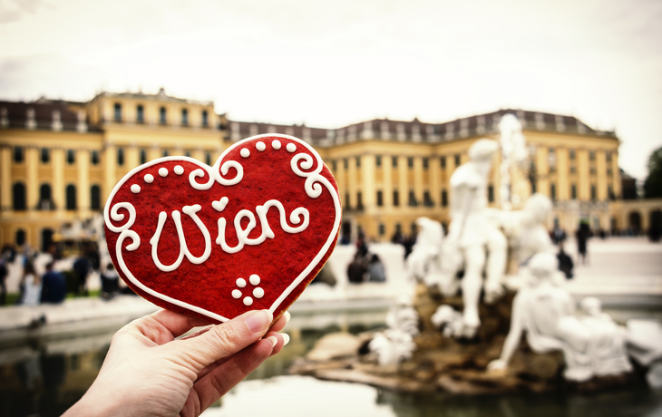 Wien, Weihnachtsmarkt