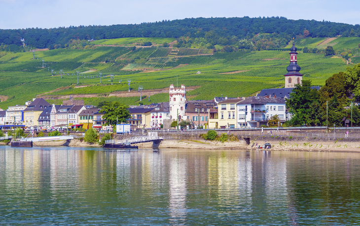 Blick auf die Weinberge bei Ruedesheim, Deutschland