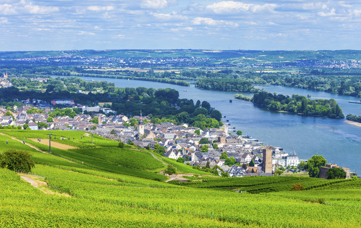 Ausblick auf die Weinfelder bei Rüdesheim, Deutschland