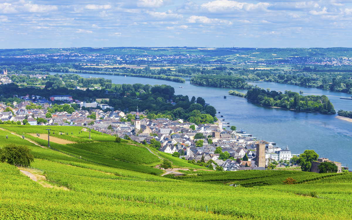 Ausblick auf die Weinfelder bei Rüdesheim, Deutschland