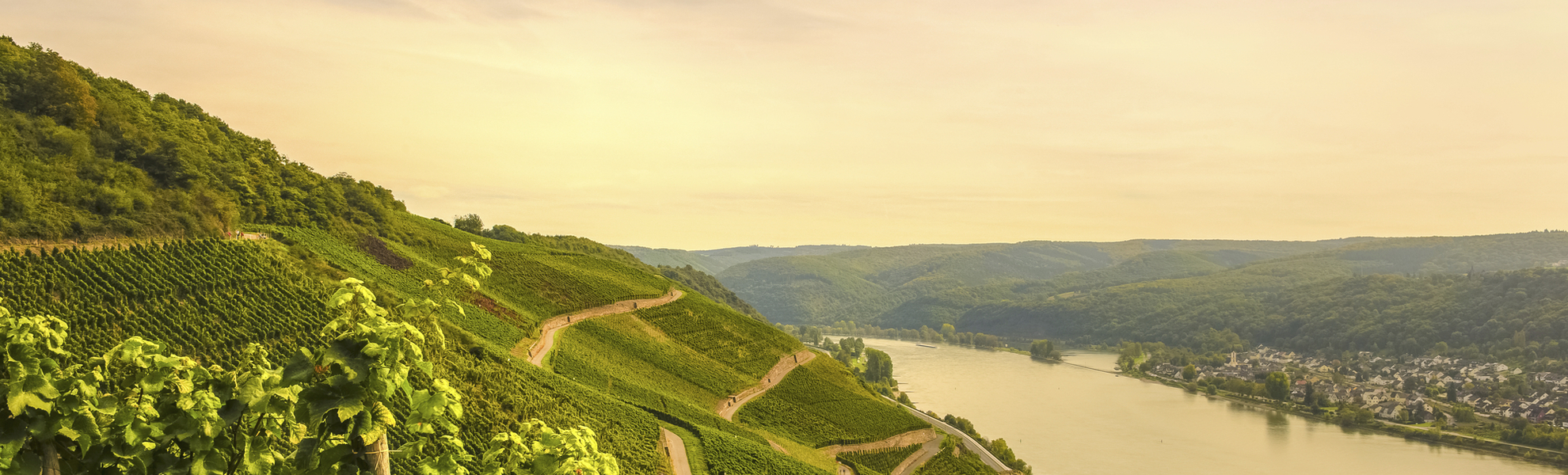 Dämmerung über Weinbergen, Deutschland