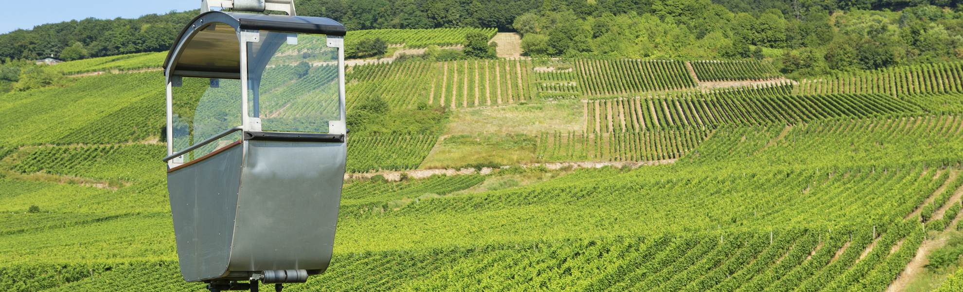 Weinberge von Ruedesheim, Deutschland