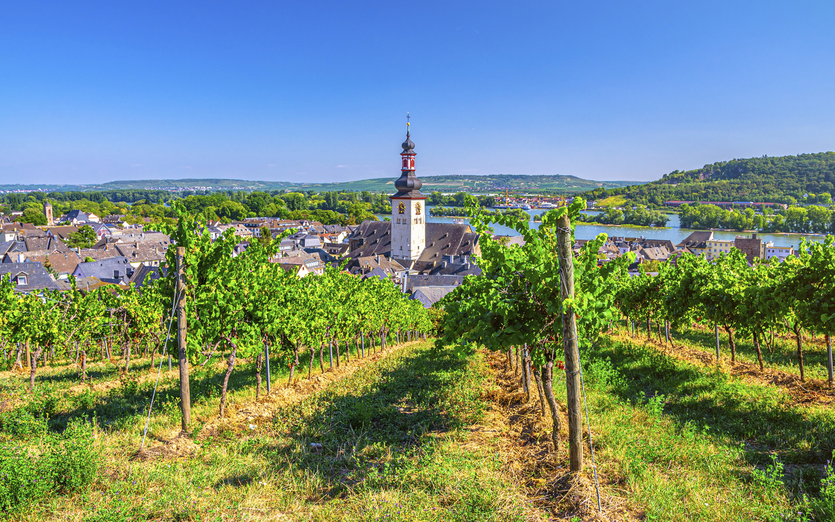 Rüdesheim, Rhein