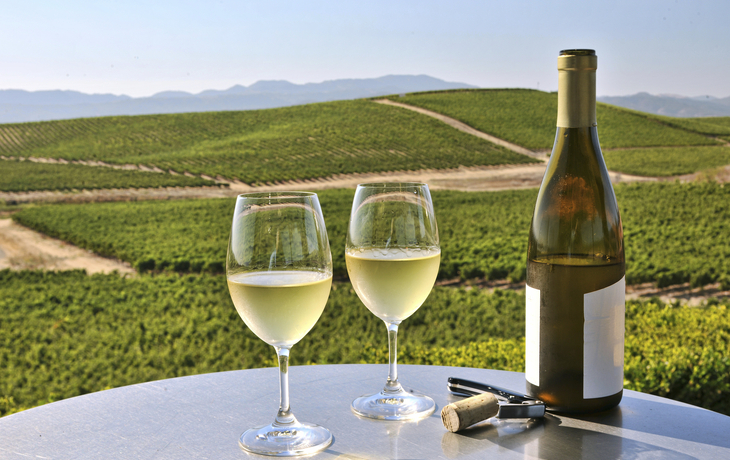 Verkostung in den Weinbergen