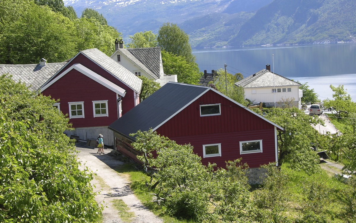 Obsthof im Hardangerfjord