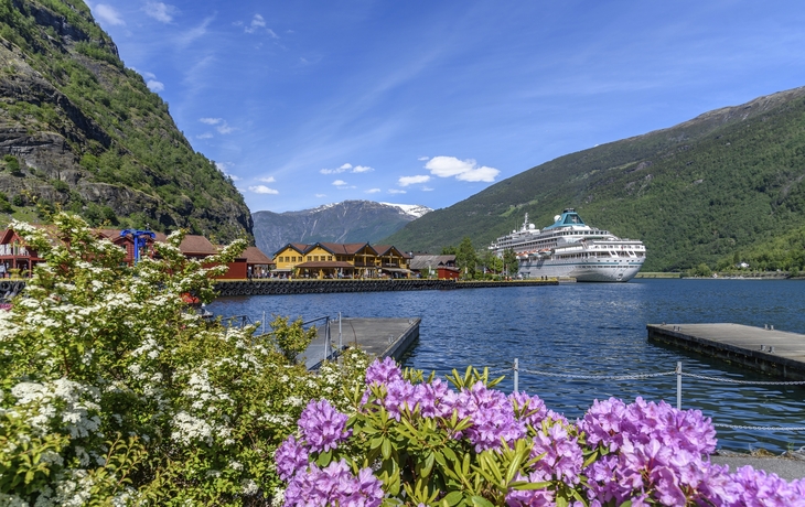 MS Amera in Flam