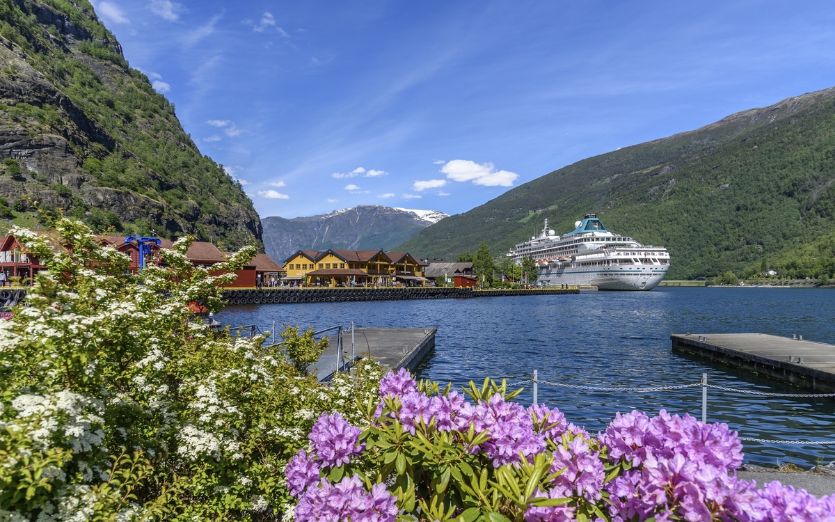 MS Amera in Flam