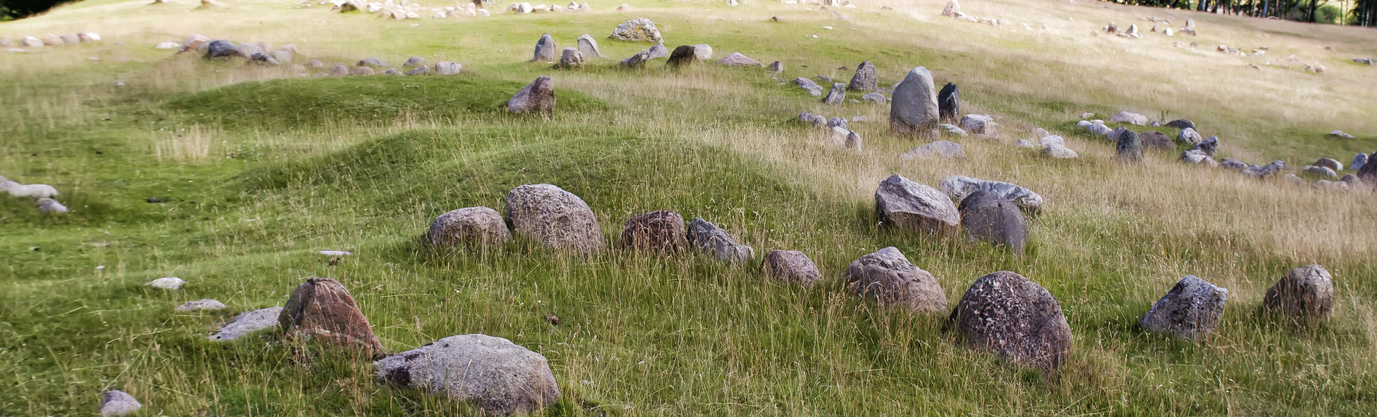 Wikingerausgrabungen bei Aalborg