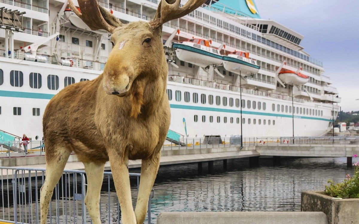 MS Artania in Kristiansand