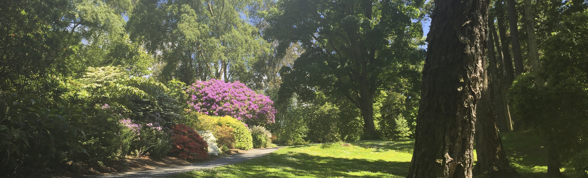 Mount Stewart Herrenhaus
