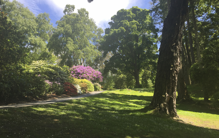Mount Stewart Herrenhaus