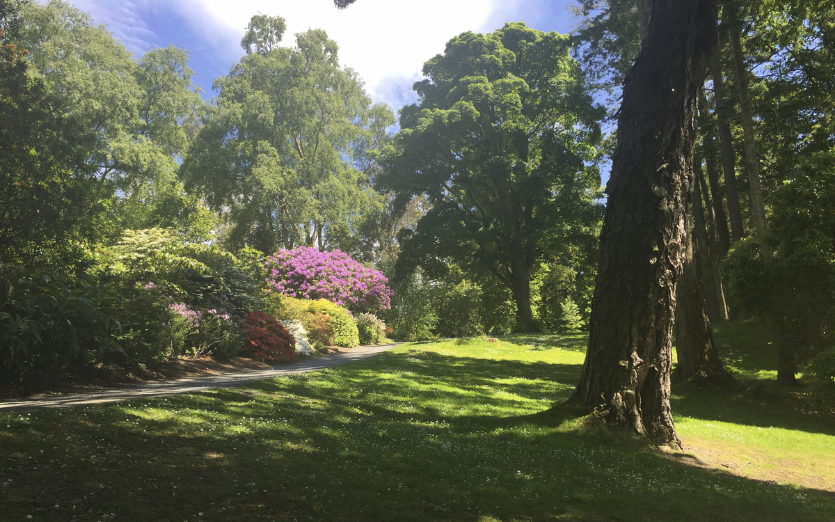 Mount Stewart Herrenhaus