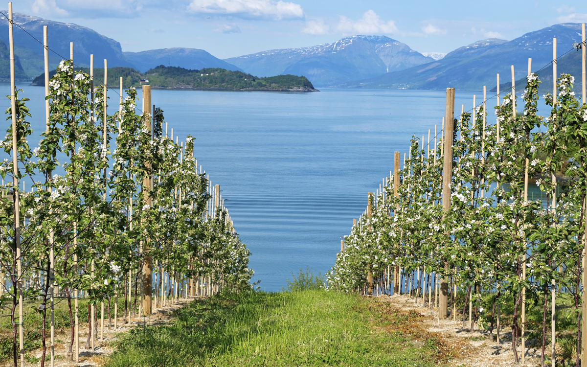 Hardangerfjord, Norwegen