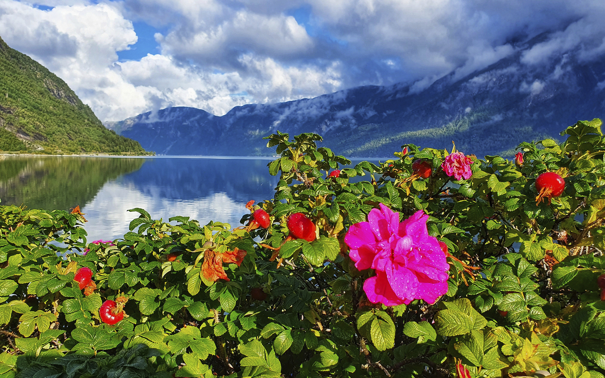 Blick auf den Eidfjord