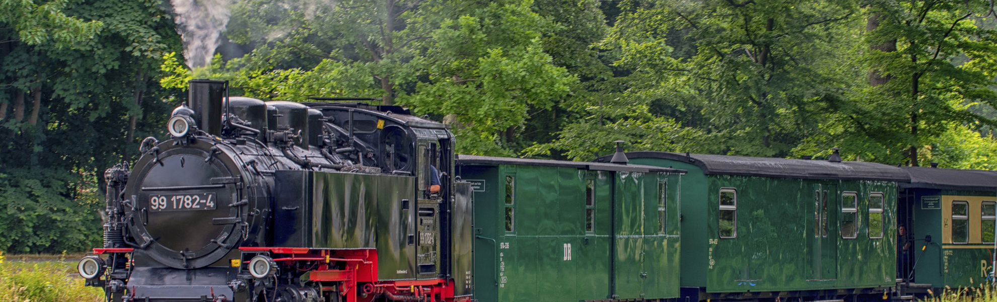 Insel Rügen, Rasender Roland