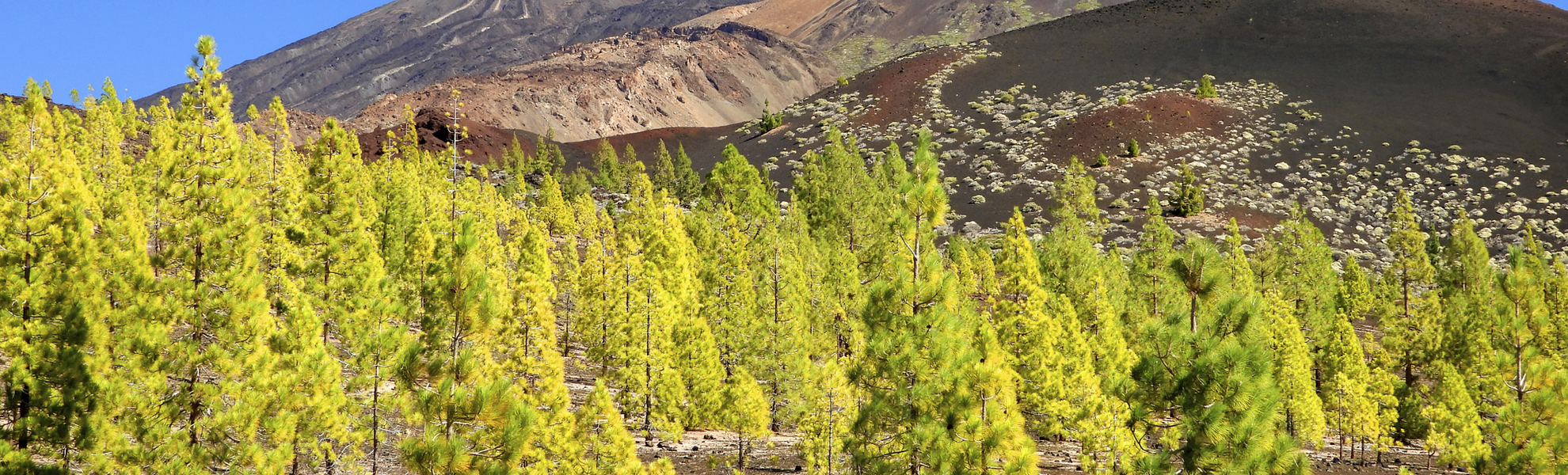 La Palma, Nationalpark Caldera de Taburiente, Spanien