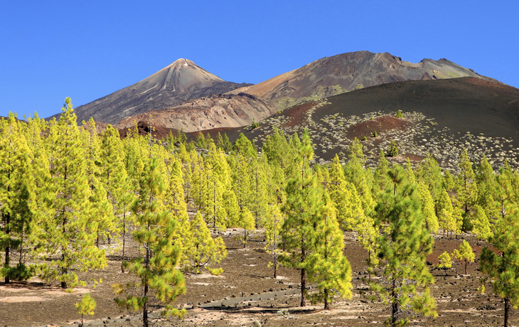 La Palma, Nationalpark Caldera de Taburiente, Spanien