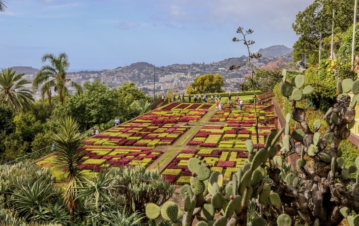 Funchal, Botanischer Garten
