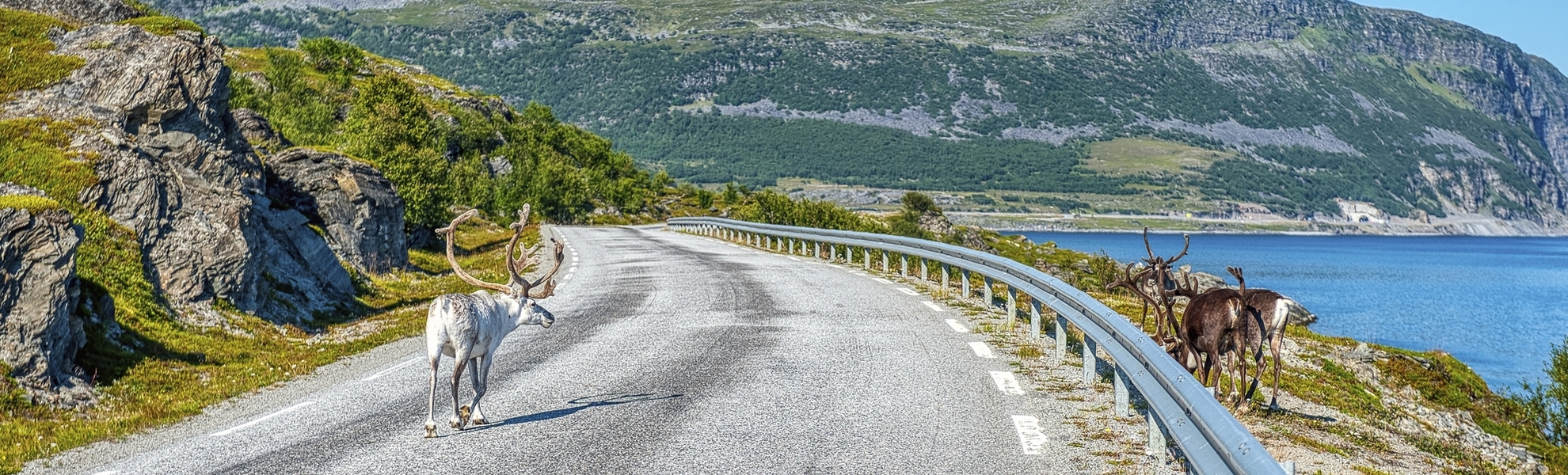 Straße Richtung Nordkap