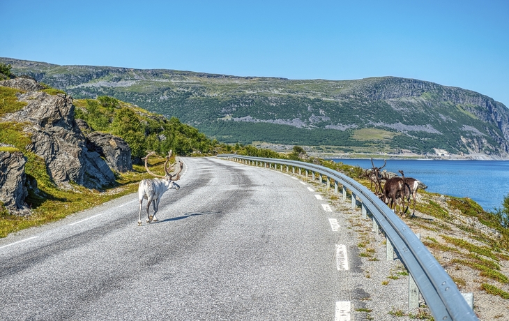 Straße Richtung Nordkap