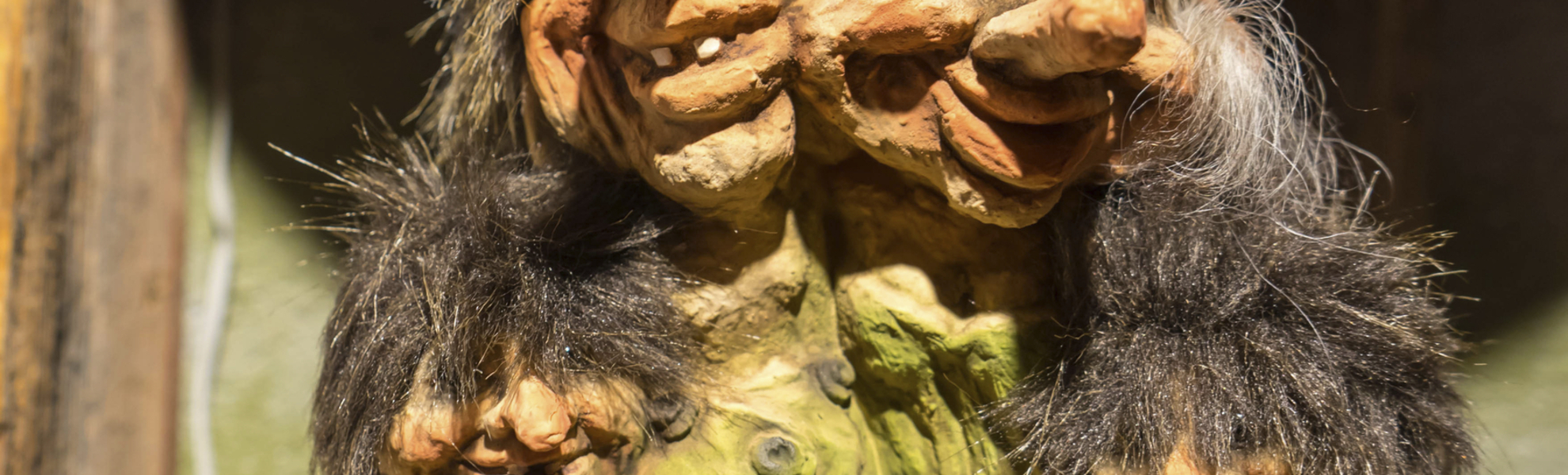 Trolle in Bergen, Norwegen