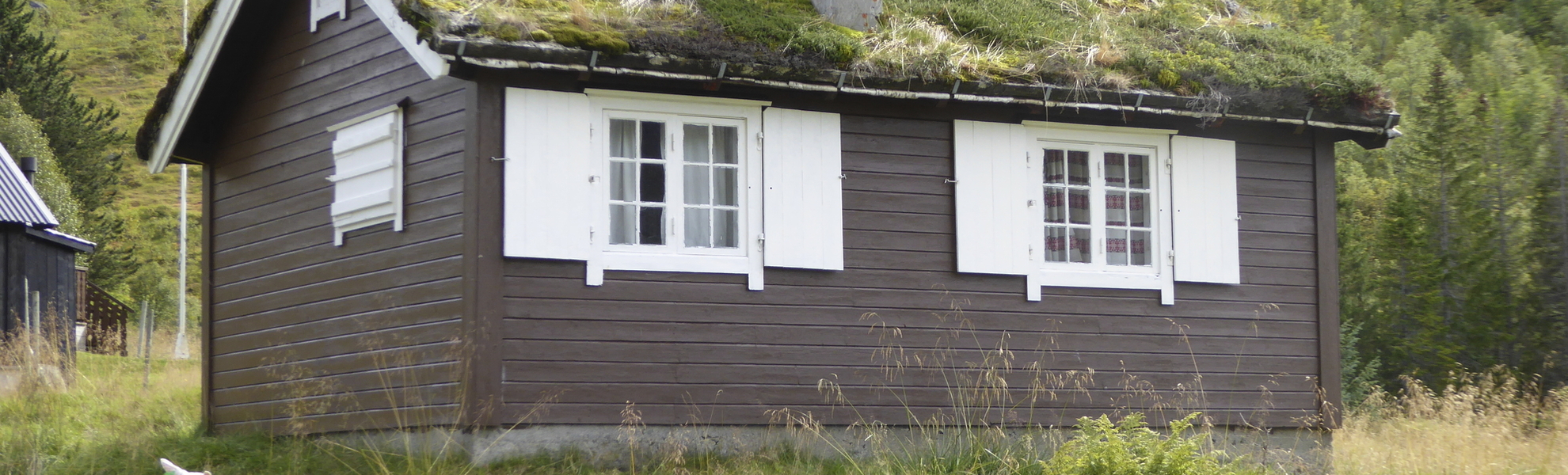 Schafherde auf der Fahrt zum Trollstigen