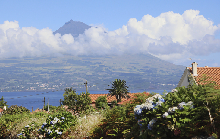 Faial, Horta