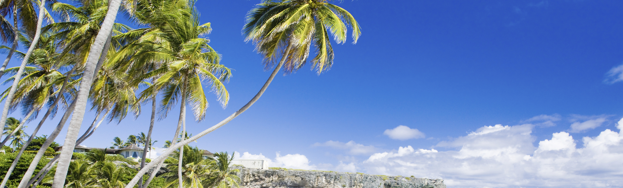 Paradiesischer Strand auf Barbados