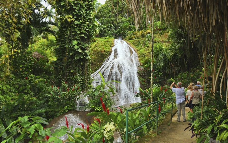 Wasserfall in der Natur von Montego Bay, Jamaika