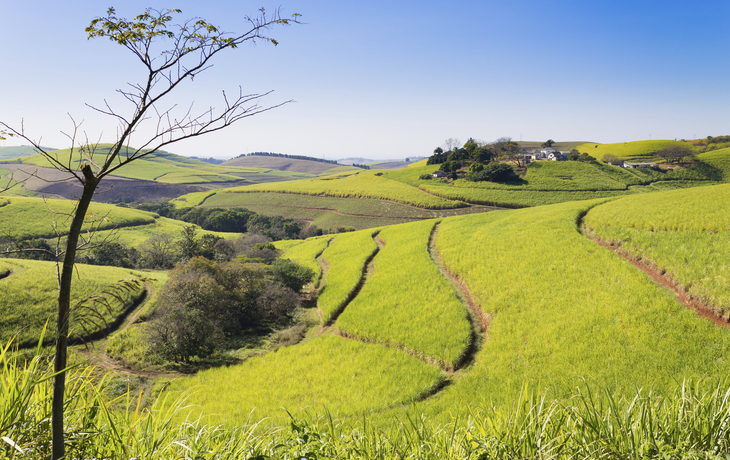Tal der tausend Hügel in Durban, Südafrika