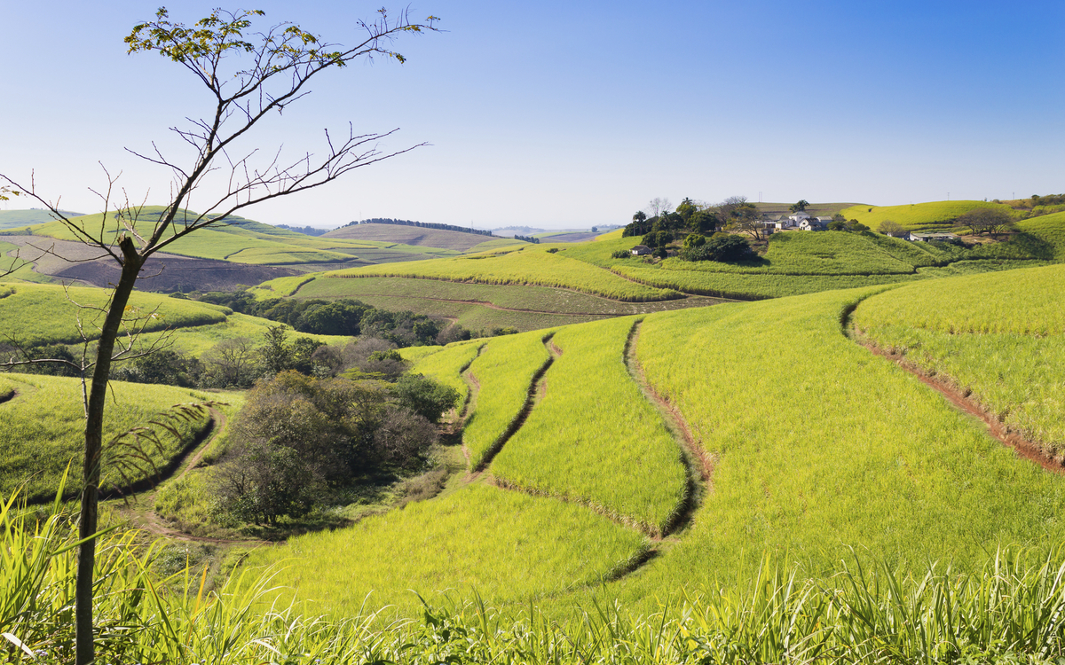 Tal der tausend Hügel in Durban, Südafrika