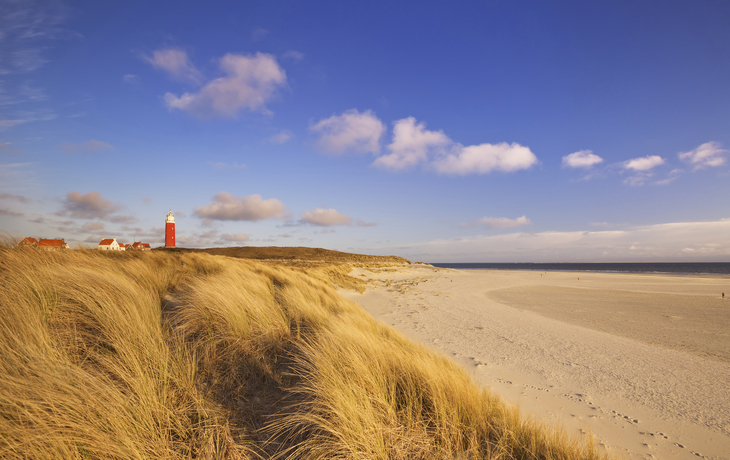 Dünenlandschaft auf Texel