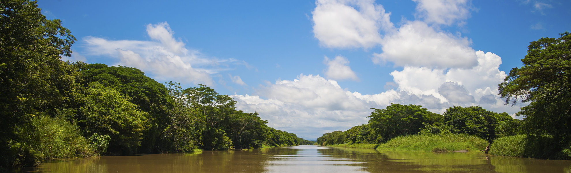 Marina Flamingo, Palo Verde